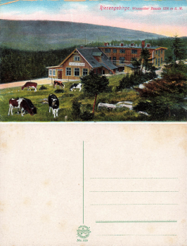 Riesengebirge Wossecker Baude Schlesien Vosecka bouda * um 1920