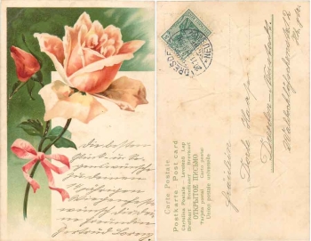 Orange rose with bud embossed card o 11/20/1913
