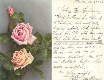 Rose-colored and yellowish rose blossom with bud br. 1/25/1927