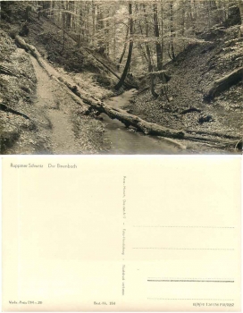 16816 Ruppiner Schweiz Binenbach *1962 Hanich0184