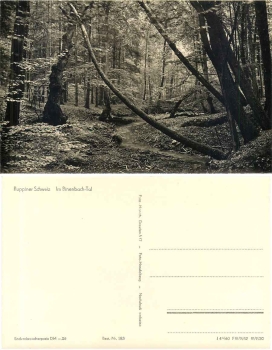 16818 Ruppiner Schweiz Binenbach Tal *1960 Hanich0183