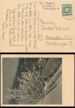 SBZ East Saxony Michel 57 single franking on postcard o Dresden 28.12.1945