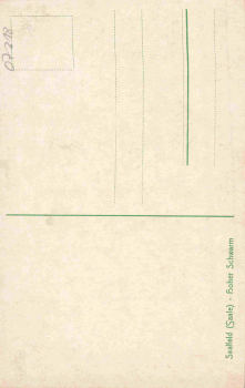 Saalfeld Thüringen hoher schwarm * um 1910