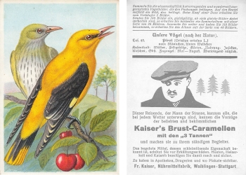 Oriole Kaiser's Breast Caramels Collector's Picture Our Birds Panel 43