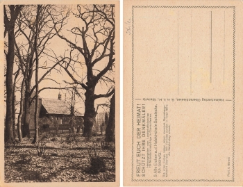 Schalscha Oberschlesien alte Eichen Szalsza * um 1920