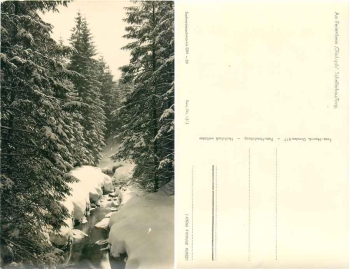 01773 Schellerhau Ore Mountains At the "Lucky Mushroom" holiday home *1960 Hanich1311