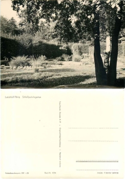 Pillnitz Dresden Schlosspark *1962 Hanich1254