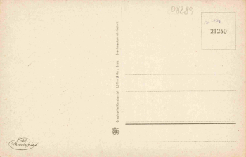 Schneeberg Erzgebirge Fürstenplatz * um 1930
