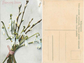 Bouquet of snowdrops with pussy willow * ca. 1920