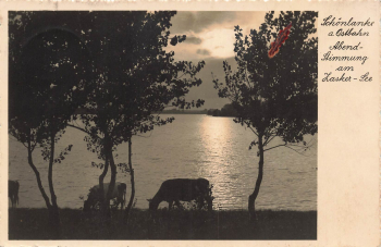 Schoenlanke Ostbahn Zasker See Trzcianka rural postmark from 1937