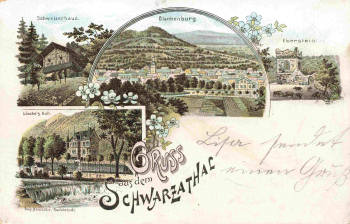 Schwarzatal Gruss aus ... Litho * um 1900