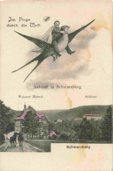 Schwarzburg Thüringer Wald Schalben-Karte  "Im Fluge durch die Welt" * 1910