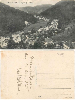 Schwarzwald bei Ohrdruf Thuringen * ca. 1925