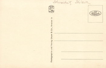 Schweidnitz Peace Oak Silesia Swidnica * around 1930