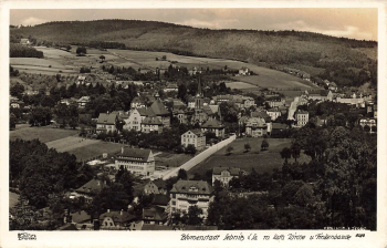 01855 Sebnitz in Sachsen * um 1930 Hahn-Foto8299