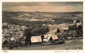 01855 Sebnitz in Sachsen * um 1940 Hahn-Foto3488