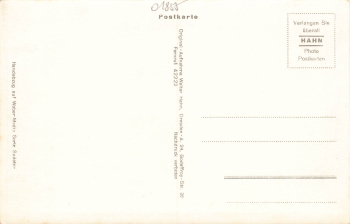 01855 Sebnitz in Sachsen * um 1940 Hahn-Foto3488