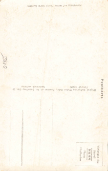 01855 Sebnitz in Sachsen * um 1930 Hahn-Foto11846