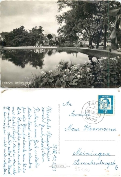 95100 Selb Oberfranken Schwanenteich o 30.5.1963