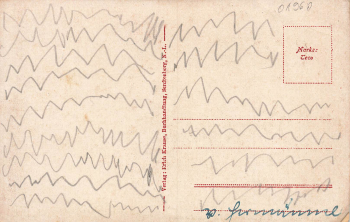 01968 Senftenberg Schlosswall  gebraucht um 1910