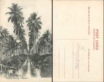 Singapur Taujong Kattong *ca. 1910
