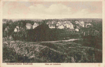 07646 Stadtroda Thüringen Villen am Lohmholz o 1938