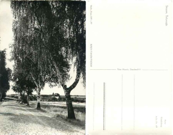 17255 Strasen Wesenberg Feldweg  *1962