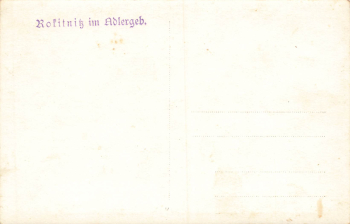 Rokitnitz im Adlergebirge Böhmen Rokytnice v Orlických horách * um 1930