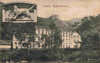 Thale Harz Hotel Waldkater im Bodetal * um 1910