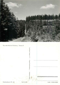 01737 Grillenburg Tharandter Wald Schneise 13 *1963 Hanich1436
