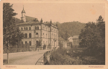 01737 Tharandt Forestry Academy * around 1920