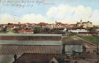 Torgau Elbe o 1916