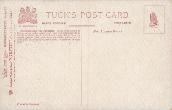 Schafherde Pasturing near the Pyramids Künstlerkarte Tucks Oilette * um 1910