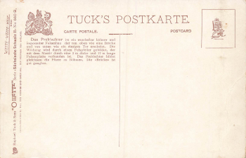 Prebischtor  Böhmische Schweiz Künstlerkarte Tucks Oilette * um 1910