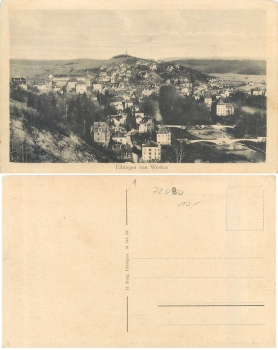 Tubingen total view from the west * approx. 1930