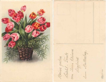 Tulpen in Weidenkorb gebr. ca. 1920