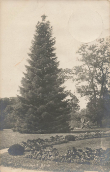 Unruhstadt Kreis Bomst Schloss Karge Kargowa o 1909