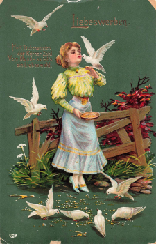 Voegel Mädchen füttert Tauben gebr. 04.09.1907