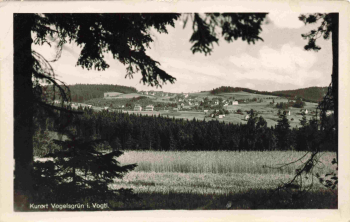 08209 Vogelsgrün Vogtland Totalansicht * um 1940