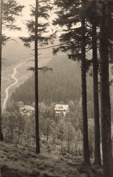 01773 Waldbaerenburg Erzgebirge Heuweg Altenberg o 1963