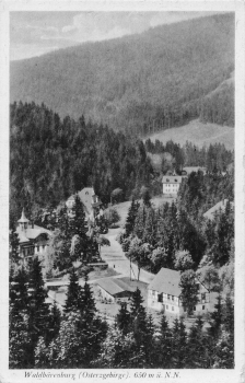 01773 Waldbaerenburg Erzgebirge * um 1940