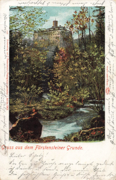 Waldenburg Fürstensteiner Grund Schlesien Wałbrzych o 1901