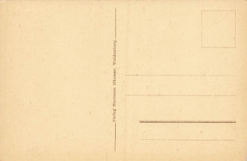 Waldenburg Schlesien Wałbrzych Schloss * um 1920