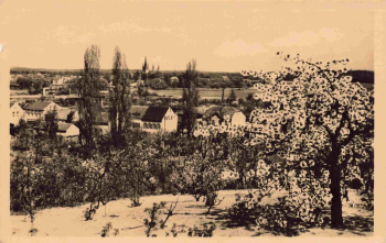 Werder Havel von der Wachtelburg alte Ansichtskarte * 1957