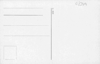 Wildenthal Eibenstock Erzgebirge Künstlerkarte * um 1920