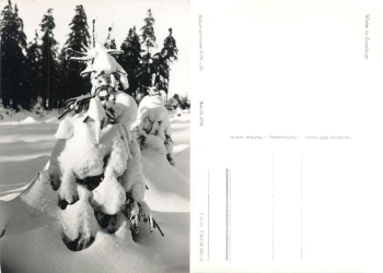 Winterwald im Erzgebirge *1966 Hanich1998
