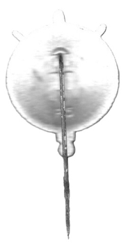 Winterhilfswerk WHW Reichsstraßensammlung Abzeichen Seemine