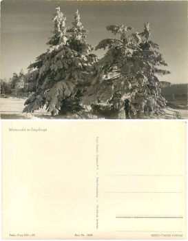 Winterwald im Erzgebirge *1956 Hanich1040