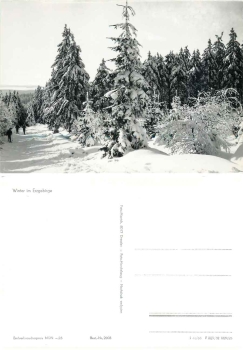 Ore Mountains in winter *1966