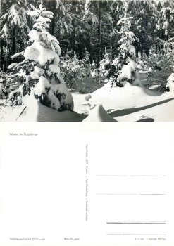 Winterwald im Erzgebirge *1966 Hanich2021